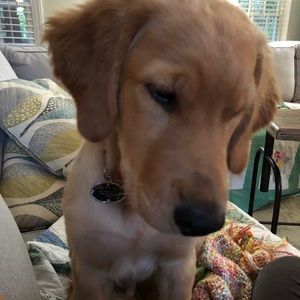 Meet your Posher, Ali